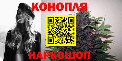 ПСИЛОЦИБИНОВЫЕ ГРИБЫ Заводоуковск