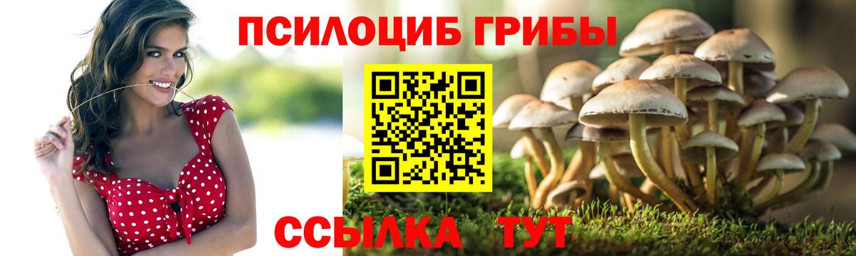 купить наркотики цена  Вход с VPN  Кушва  Галлюциногенные грибы GOLDEN TEACHER 