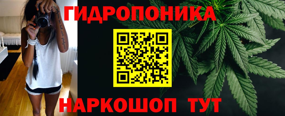 Бошки Шишки план  Канабис сатива  Вход с VPN  Бошки Шишки ГИДРОПОН  Кушва 
